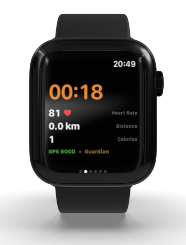The Dressage Coach Apple Watch ride metrics